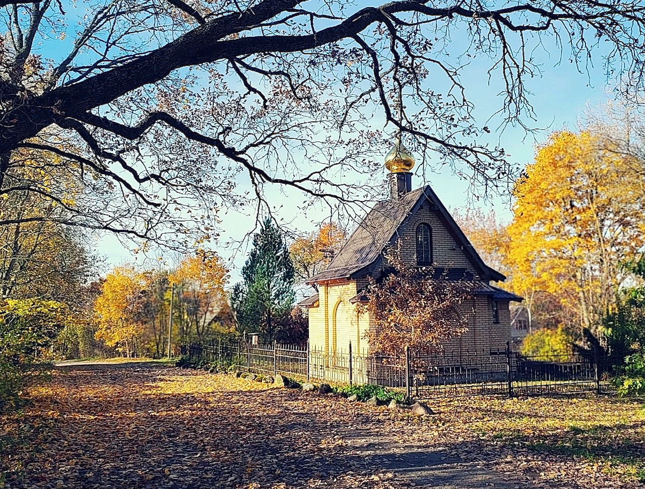 Осенние туманы в деревне